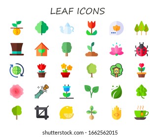 conjunto de iconos de hoja. 30 iconos planos de hoja. Incluido crecimiento, lechuga, tetera, tulipano, caída, bosque, patrick santo, jardín, árbol, brotes, loto, ladybug, eco, flor, plantas, iconos de las casas arbóreas