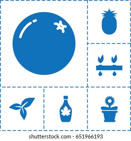 Leaf icon. set of 6 leaf filled icons such as orange, maple syrup, flower pot, leaf, pineapple