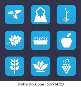 leaf icon. Set of 9 filled leaf icons such as plant, leaf, grape, plant in pot, flower, sprout, tree