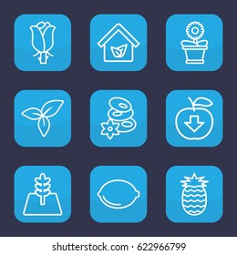 Leaf icon. set of 9 outline leaf icons such as spa stones, flower pot, rose, lemon, leaf, tree, eco house, pineapple