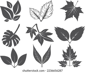 Leaf icon set, abstract leaves icons set on white background