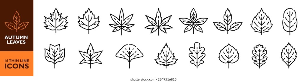 Leaf icon set. Autumn leaves line icon. 