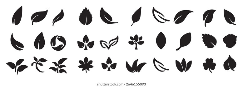 Leaf Icon Set. Botanical Silhouettes and Plant Symbols Collection