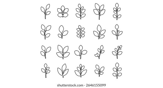 Leaf Icon Set. Botanical Silhouettes and Plant Symbols Collection