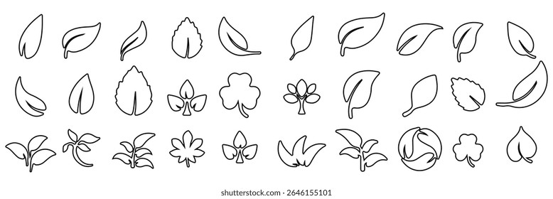 Leaf Icon Set. Botanical Silhouettes and Plant Symbols Collection
