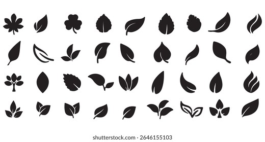 Leaf Icon Set. Botanical Silhouettes and Plant Symbols Collection