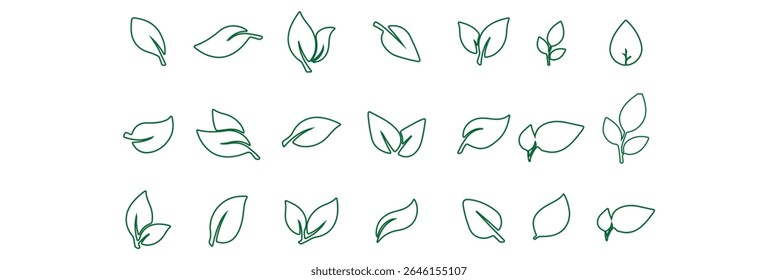 Leaf Icon Set. Botanical Silhouettes and Plant Symbols Collection