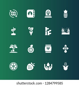 leaf icon set. Collection of 16 filled leaf icons included Corn, Ecology, Strawberry, Lemon, Seed, Fertilizer, Apple, Island, Forest, Bamboo, Salad, Growth, Pineapple, Eco