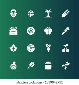 leaf icon set. Collection of 16 filled leaf icons included Pruning shears, Seeds, Flower, Apple, Cherry, Salad, Jawbreaker, Leaf, Carrot, Butterfly, Tomato slice, Fruit box, Corn