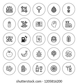 Leaf icon set. collection of 25 outline leaf icons with apple, banana, bamboo, botanical, bonsai, butterfly, crop, eco fuel, forest, green energy icons. editable icons.