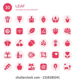 leaf icon set. Collection of 30 filled leaf icons included Cabbage, Flowers, Dustpan, Strawberry, Ecology, Apple, Leaf, Ecologism, Acorn, Butterfly, Cherry, Hop, Flower pot, Palm tree