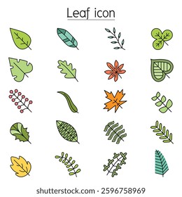 Leaf icon set in color line style