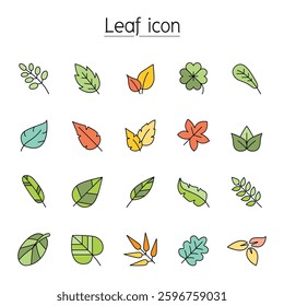 Leaf icon set in color line style