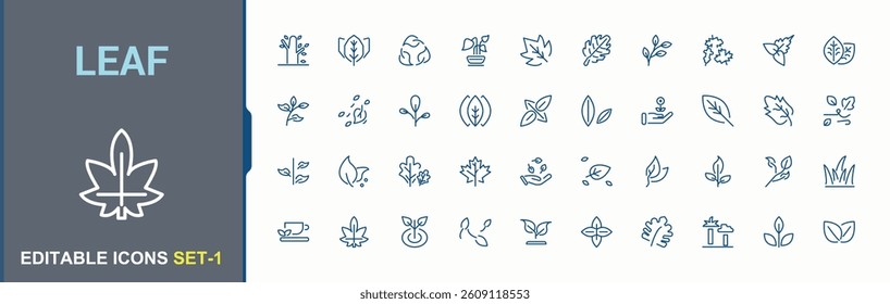 Leaf icon set. Contains such symbols as ecology, herb, leaves, tree, garden and more. Leaves simple icon. Outline icons in linear style. Minimalist vector illustration. Pixel perfect.