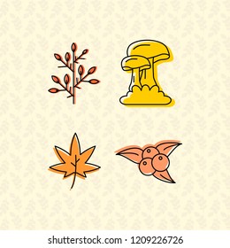 Leaf icon set design vector 