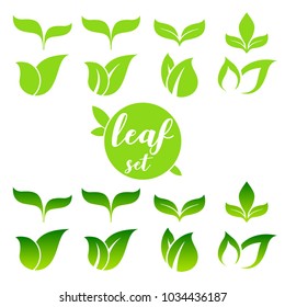 Leaf icon set. Elements for eco, natural and bio logo. Different shape and style variations. Vector template design.