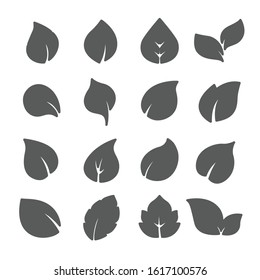 Leaf icon set / flat icon 03