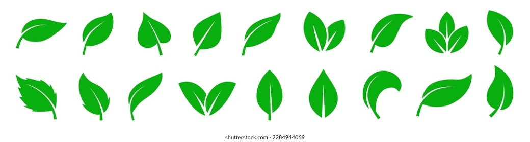 Leaf icon set. Green leaf set.