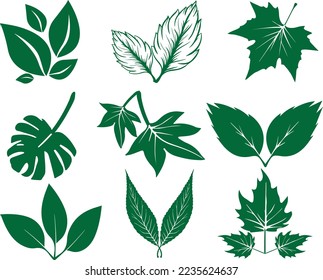 Juego de iconos de hoja, conjunto de hojas verdes vector