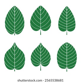 leaf icon set. green leaf icon set vector