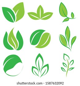 Leaf icon set illustration design