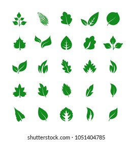 Leaf icon set isolated on white background. Collection of leaf icons for web site ,logo and app. Creative art concept, vector illustration eps 10
