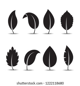 Leaf icon set isolated on white background. Black leaf icon for web site, logo, poster, placard and wallpaper. Creative art concept. Vector illustration