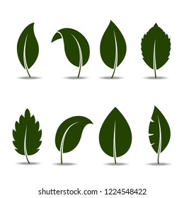 Leaf icon set isolated on white background. Green leaf icon for web site, logo, poster, placard and wallpaper. Creative art concept. Vector illustration