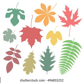 Leaf icon set. Isolated leaf on white background. EPS 10. Vector illustration