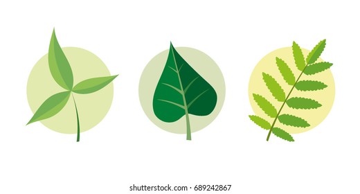 Leaf icon set, isolated on white background, cartoon style, various shapes