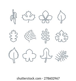 Leaf Icon Set. Leaves Linear Style