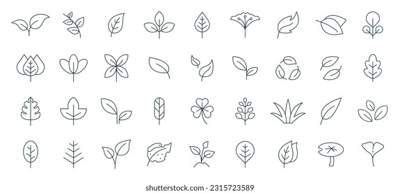 leaf icon set line style. Leaves of trees and plants, Leaves icon Collection, design for natural, eco, bio, and vegan labels. Vector illustration.