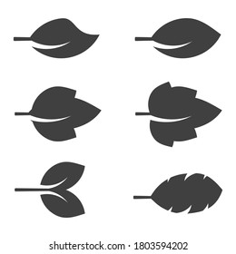 Leaf icon set on white background vector illustration