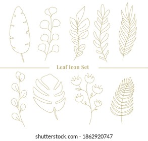 Leaf Icon Set - outline style is an icon set for your social media, website or brand guide . with this icon set you can make your brand look more classy and minimalist.