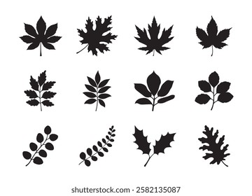 Leaf Icon Set Silhouette Isolated White Background