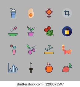 leaf icon set. vector set about crop, sunflower, apple and seasoning icons set.