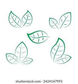 Leaf icon set, vector graphic design