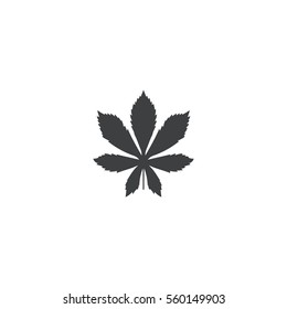 leaf icon. sign design