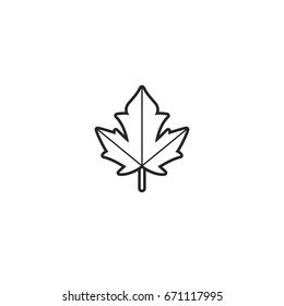 leaf icon. sign design