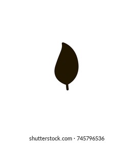 leaf icon. sign design