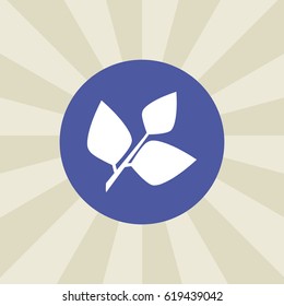 leaf icon. sign design. background