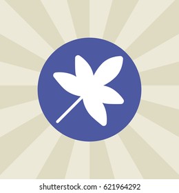 leaf icon. sign design. background