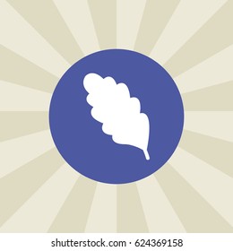 leaf icon. sign design. background