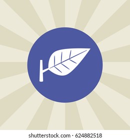leaf icon. sign design. background
