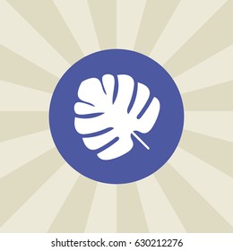 leaf icon. sign design. background