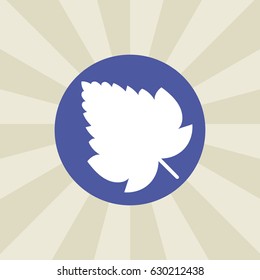 leaf icon. sign design. background