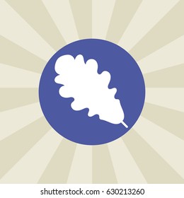 leaf icon. sign design. background