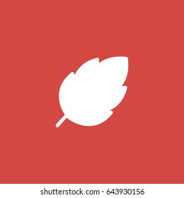 leaf icon. sign design. red background