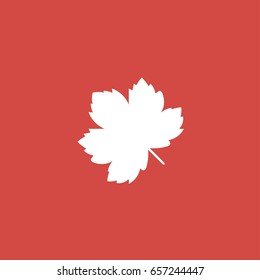 leaf icon. sign design red background