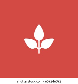 leaf icon. sign design. red background